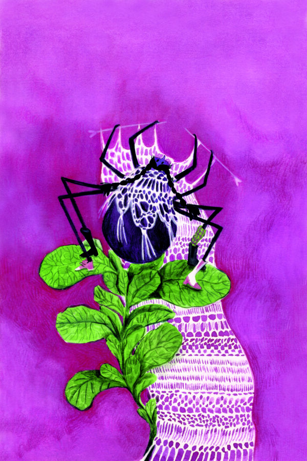 El Jardín - Imagen 2